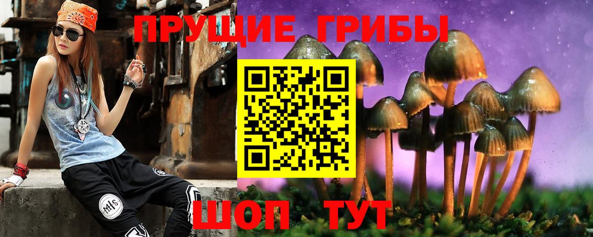 Городец  Галлюциногенные грибы мухоморы  Вход с VPN  Псилоцибиновые грибы ЛСД 
